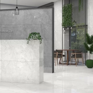 الیزا طوسی روشن