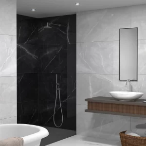 مالنا طوسی روشن